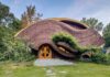 The Creek House