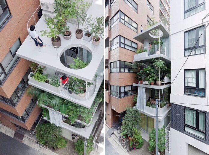 Tokyo Garden and House